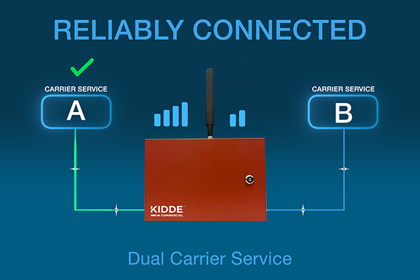 Dual Carrier Service Reliability